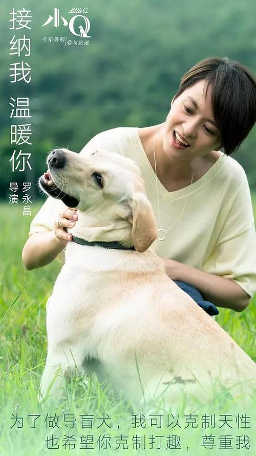 埃克塞特大学学士成绩单